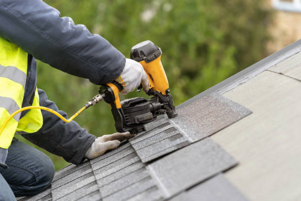 Best Roof Maintenance and Cleaning  in Arbutus, MD