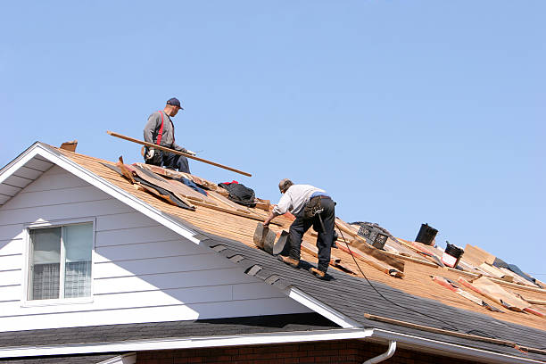Best Metal Roofing Installation  in Arbutus, MD